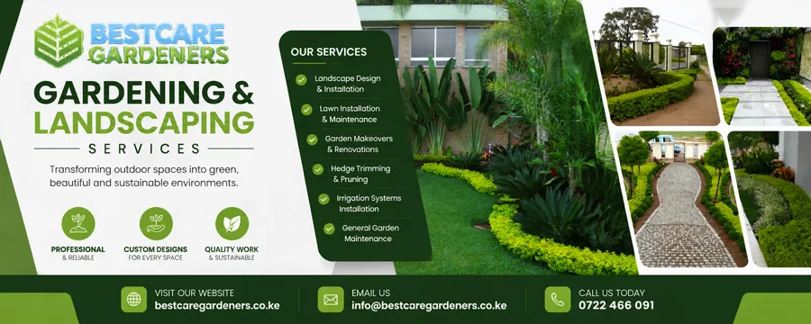 Top 12 Companies That Provide Garden Cleaning Services in Nairobi 2 landscaping and gardening services in nairobi kenya kiambu kaiado